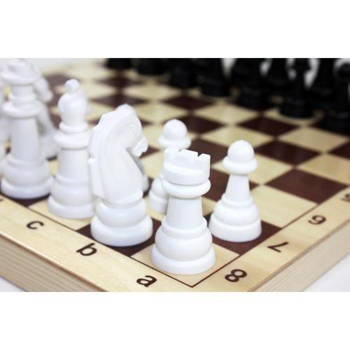 Игра настольная Шахматы Десятое королевство 03878 фото 2